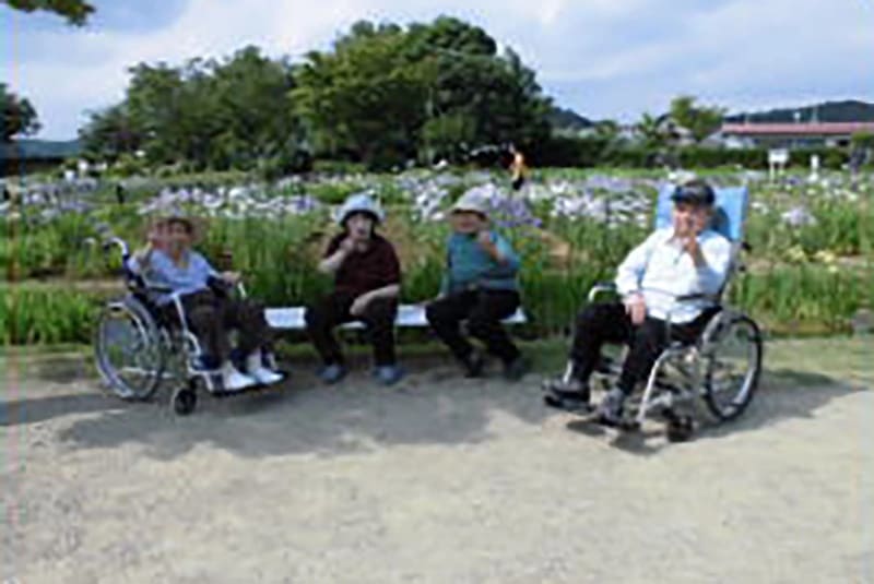 あやめ園見学（一迫）風景