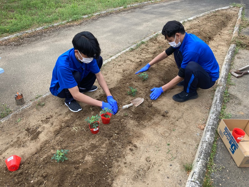 苗植え込みの様子2