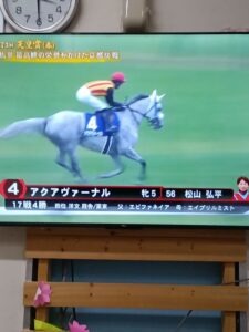 アクアヴァーナル