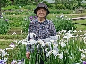 アヤメ祭り③