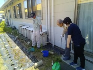 たまねぎ収穫に参加する高齢者②
