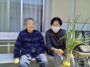 たまねぎ収穫に参加する高齢者③