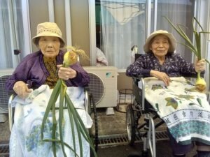 たまねぎ収穫に参加する高齢者④